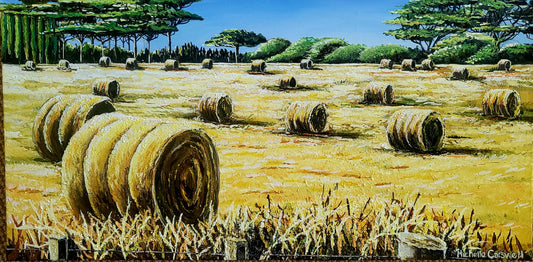 Hay Bales in Field